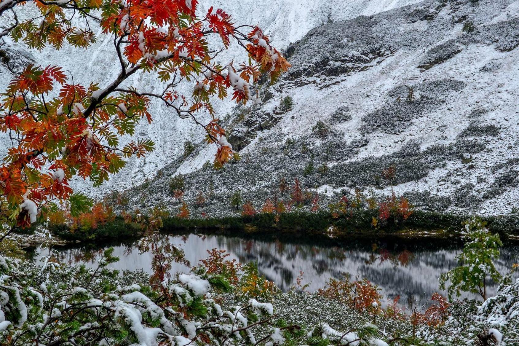 Chata Drevenica Habovka Buitenkant foto